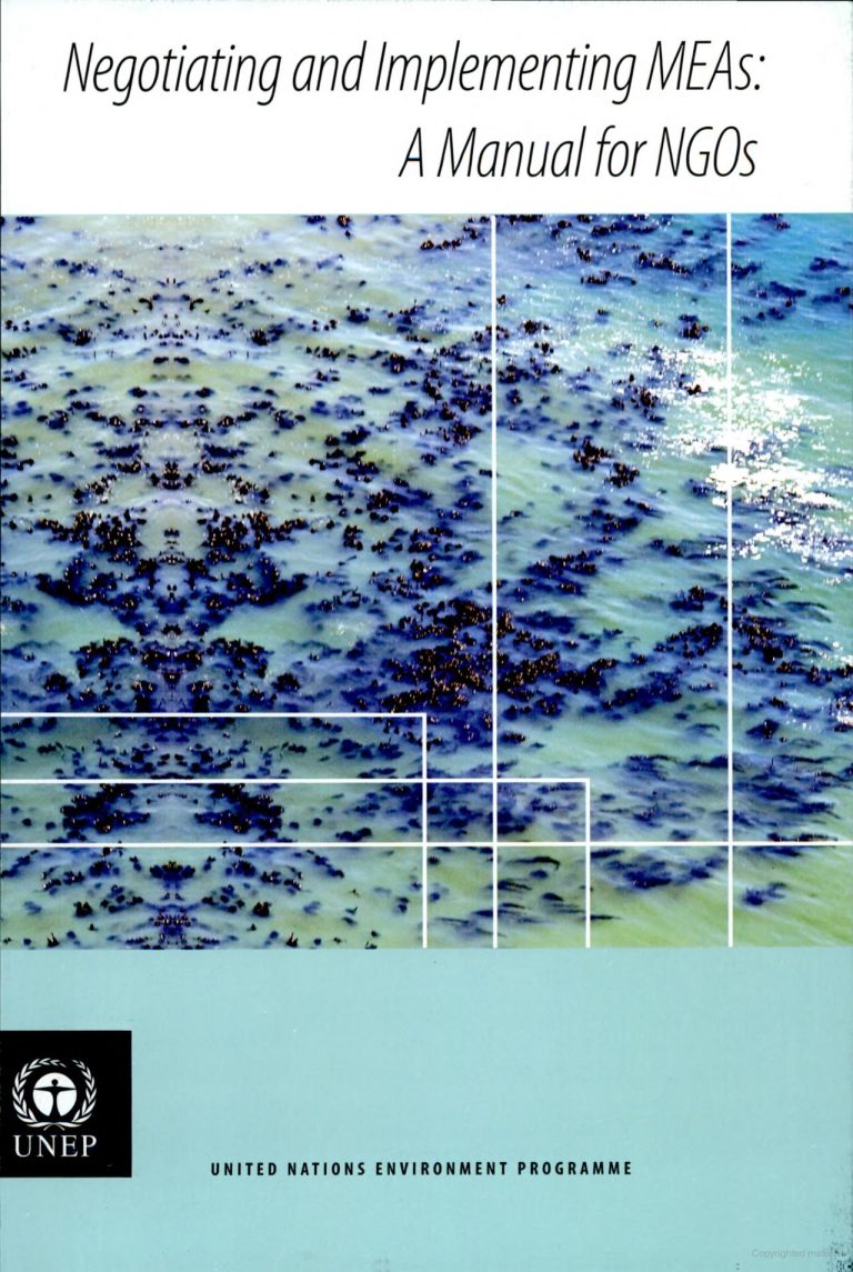 Negotiating and Implementing MEAs: A Manual for NGOs